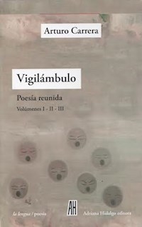 VIGILAMBULO 3 VOLS POESIA REUNIDA CARRERA - CARRERA ARTURO