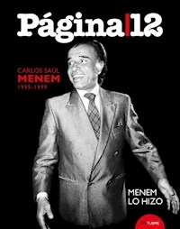 PAGINA 12 CARLOS S MENEM 1995 1999 TOMO 2 - PAGINA 12