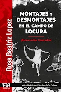 MONTAJES Y DESMONTAJES EN EL CAMPO DE LOCURA - LOPEZ ROSA BEATRIZ