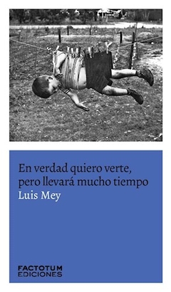 EN VERDAD QUIERO VERTE PERO LLEVARA MUCHO TIEMPO - MEY LUIS