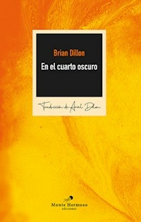 EN EL CUARTO OSCURO - BRIAN DILLON