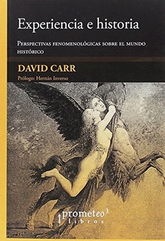 EXPERIENCIA E HISTORIA PERSPECTIVAS FENOMENOLOGICA - CARR DAVID