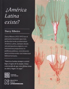 AMERICA LATINA EXISTE - RIBEIRO DARCY