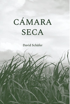 CAMARA SECA - DAVID SCHAFER