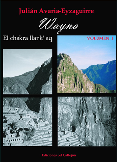 WAYNA EL CHAKRA LLANK AQ VOL 1 - AVARIA EYZAGUIRRE JULIAN