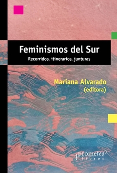 FEMINISMOS DEL SUR RECORRIDOS ITINERARIOS JUNTURAS - ALVARADO MARIANA EDITORA