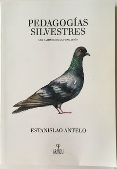 PEDAGOGIAS SILVESTRES CAMINOS DE LA FORMACION - ANTELO ESTANISLAO