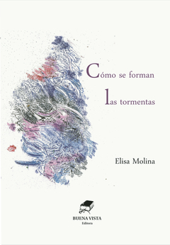 CÓMO SE FORMAN LAS TORMENTAS - MOLINA ELISA