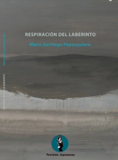RESPIRACION DEL LABERINTO ED 2019 - PAPASQUIARO MARIO S