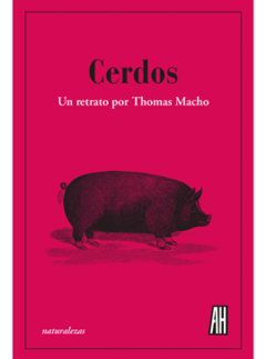 CERDOS ED 2021 - MACHO THOMAS