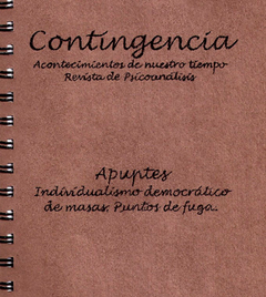 CONTINGENCIA APUNTES INDIVIDUALISMO DEMOCRATICO - SANMARTINO SILVINA CORDOBA CAR