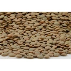 Lentilha Canadense 100g - comprar online