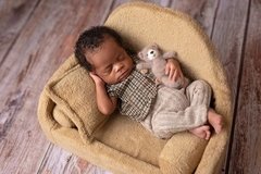 Sofá Posing Pod Room 2 - Newborn - cores - buy online