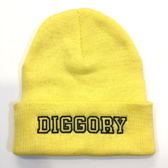 Gorro Diggory