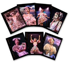 Polaroids Melanie Martinez - Pack x 7 en internet