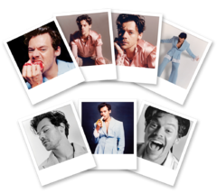 Polaroids Harry Styles - Pack x 7 en internet