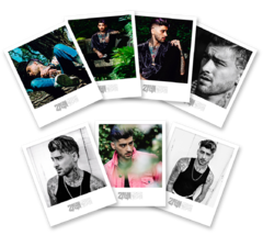 Polaroids Zayn - Pack x 7