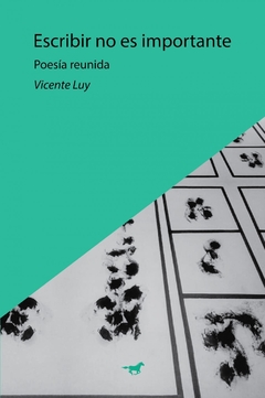 Escribir no es importante - Vicente Luy