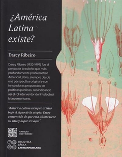 ¿América latina existe? - Darcy Ribeiro