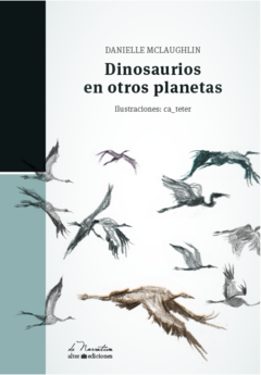 Dinosaurios en otros planetas - Danielle McLaughlin