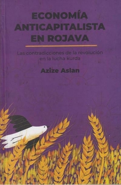 Economía anticapitalista - Azize Aslan