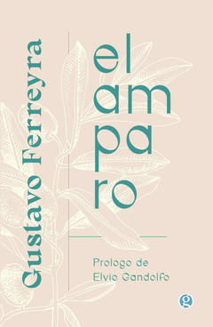 El amparo - Gustavo Ferreyra