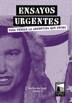 Ensayos urgentes. Para pensar la Argentina que asoma - Guillermo Levy