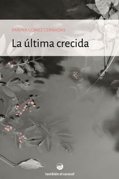 La última crecida - Yanina Gómez Cernadas