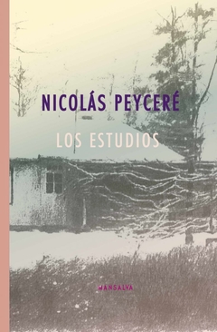 Los estudios - Nicolás Peyceré