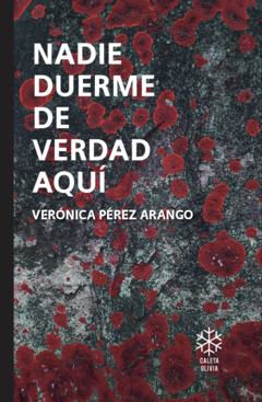 Nadie de verdad duerme aquí - Verónica Pérez Arango