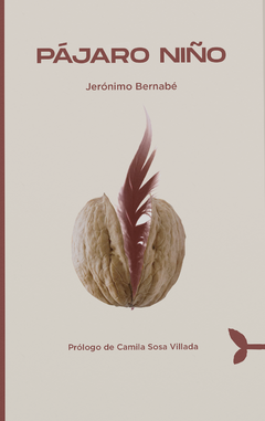 Pájaro niño - Jerónimo Bernabé