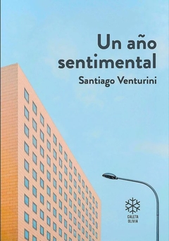 Un año sentimental - Santiago Venturini