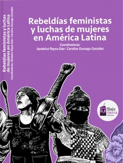 Rebeldías feministas y luchas de mujeres en América Latina - AA. VV.