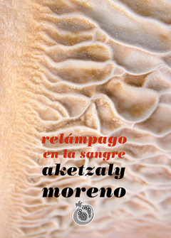 Relámpago en la sangre - Aketzaly Moreno