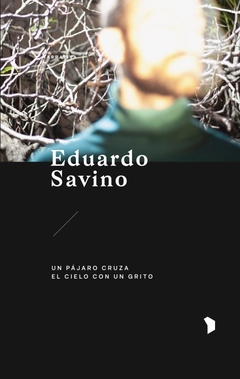 Un pájaro cruza el cielo con un grito - Eduardo Savino