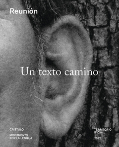 Un texto camino - Caístulo