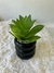 P1614 Planta Suculenta artificial con Maceta Ceramica - tienda online