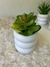 P1614 Planta Suculenta artificial con Maceta Ceramica en internet