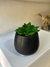 P1783 Planta Suculenta artificial con Maceta Ceramica - tienda online