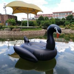 Boia Cisne Gigante para Piscina