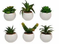 Maceta ceramica blanca redonda con planta 6x6x8cm