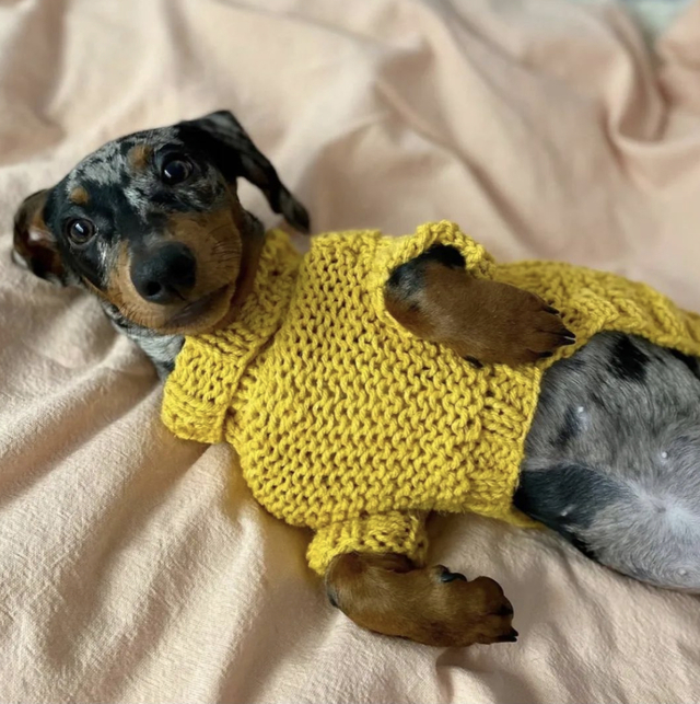 Sweater Tejido - comprar online