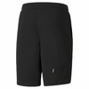 Shorts Pumas Rtg Interlock Masculino - 671923-01 - comprar online