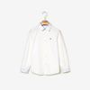 Camisa Social Infantil Original Lacoste. CJ807721001