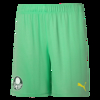 Short Palmeiras Puma III 22/23 769942-01