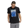 Camiseta Adidas Gráfica Skate HR5745