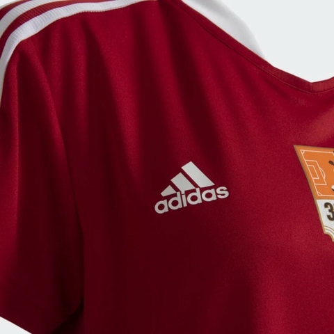 Camisa Flamengo 30 anos da Copa Feminina - Adidas GA0771 na internet