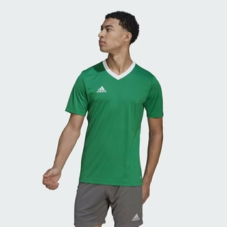 Camisa Entrada 22 - Verde adidas HI2123