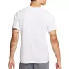 Camiseta Nike Manga Curta DF TEE HBR Novelty FQ3872-100 na internet