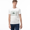 Camiseta Lacoste Logo Branca + Verde TH5097-21-70V
